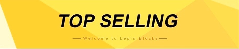 lepin best selling banner