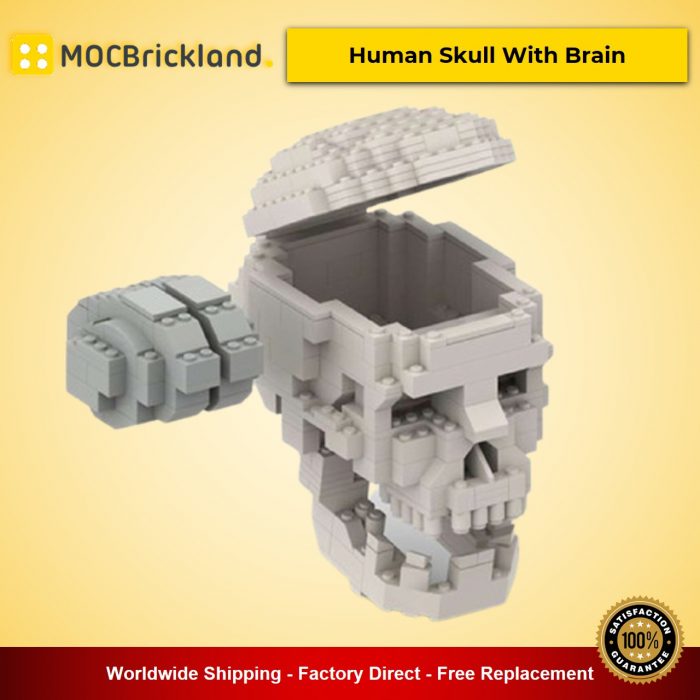Creator MOC-41161 Human Skull With Brain by MyKidisanAlien MOCBRICKLAND